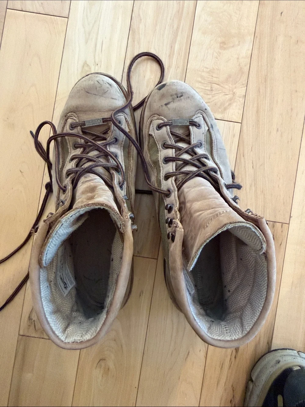 Danner Tan Leather Lace-Up Hiking Boots